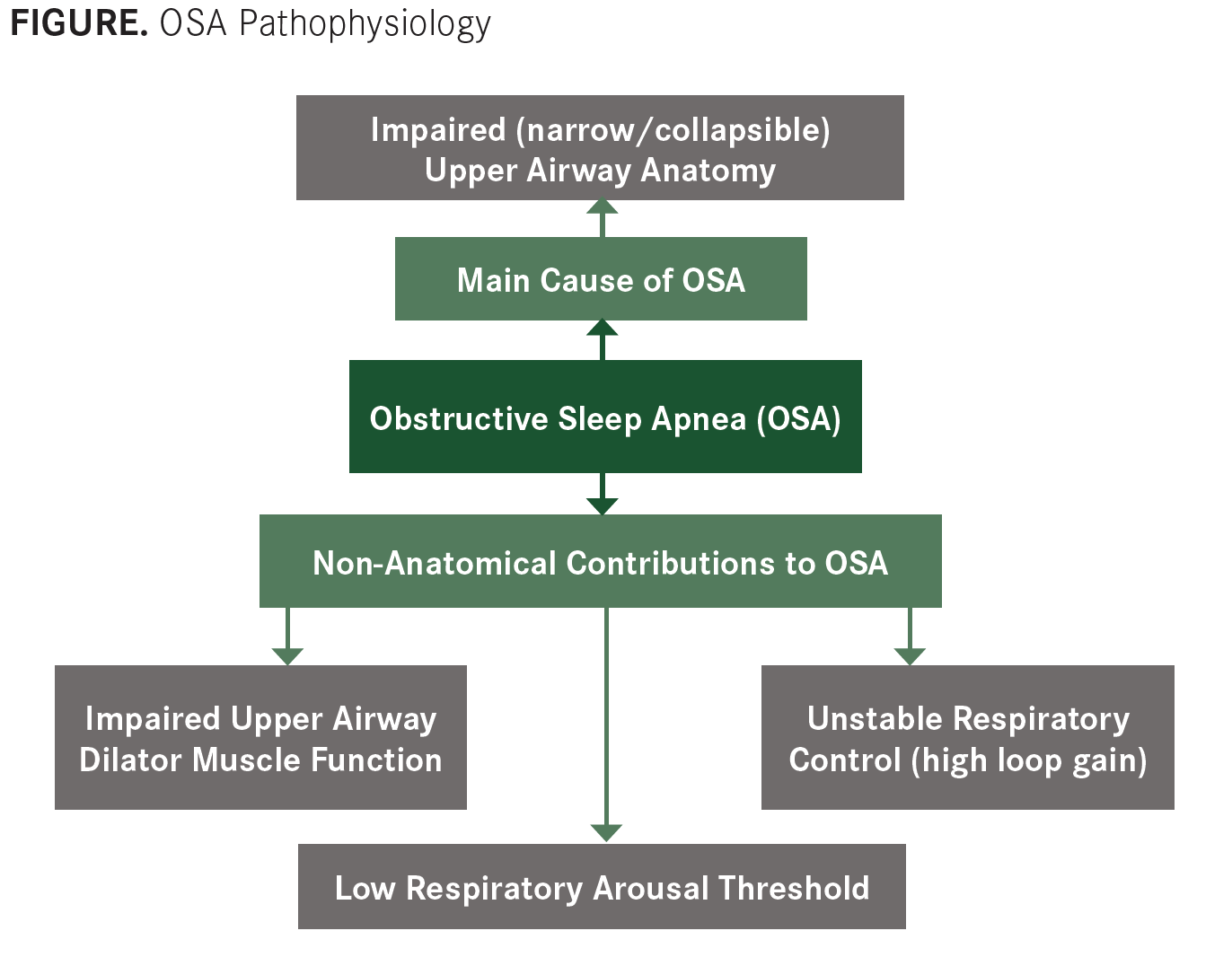 New Targets In Obstructive Sleep Apnea Neurologylive - 